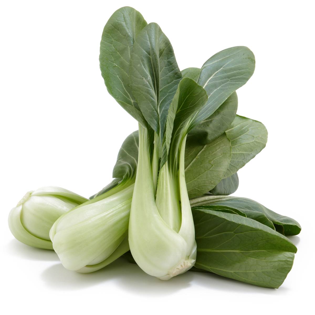 Organic Choy Pak Bunch