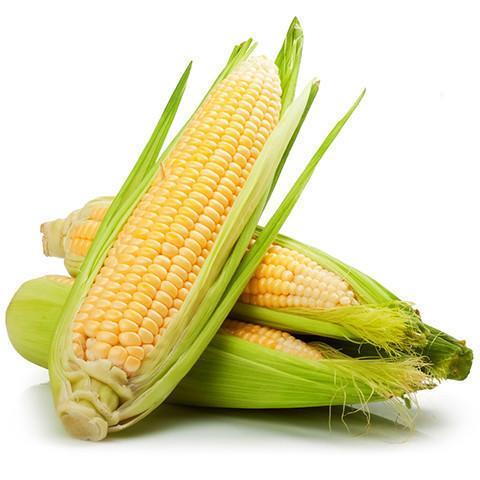 Corn Cob Each