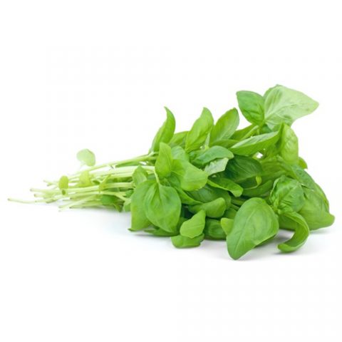 Herb Basil Sleeve Each