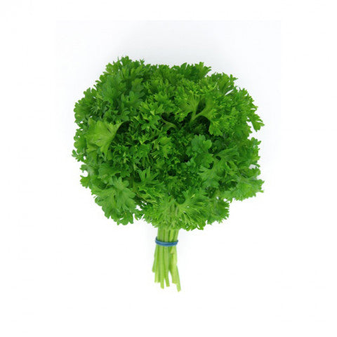 Herb Parsley Curly