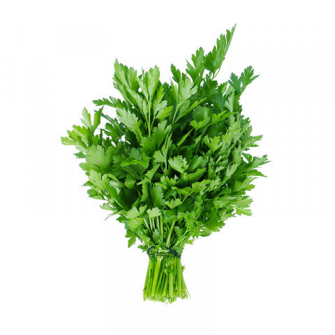 Herb Parsley Flat