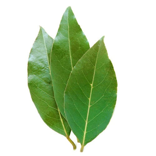 Herb Bay Leaves