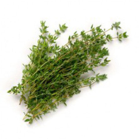 Herb Thyme Bunch