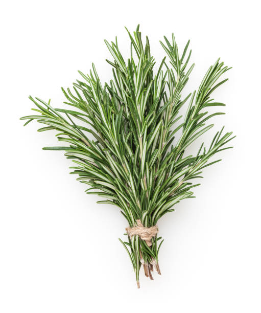 Herb Rosemary Bunch