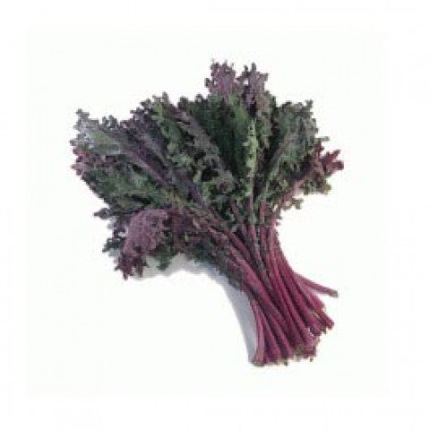 Kale Red Bunch