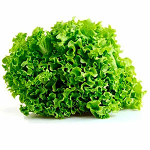 Lettuce Fancy Each