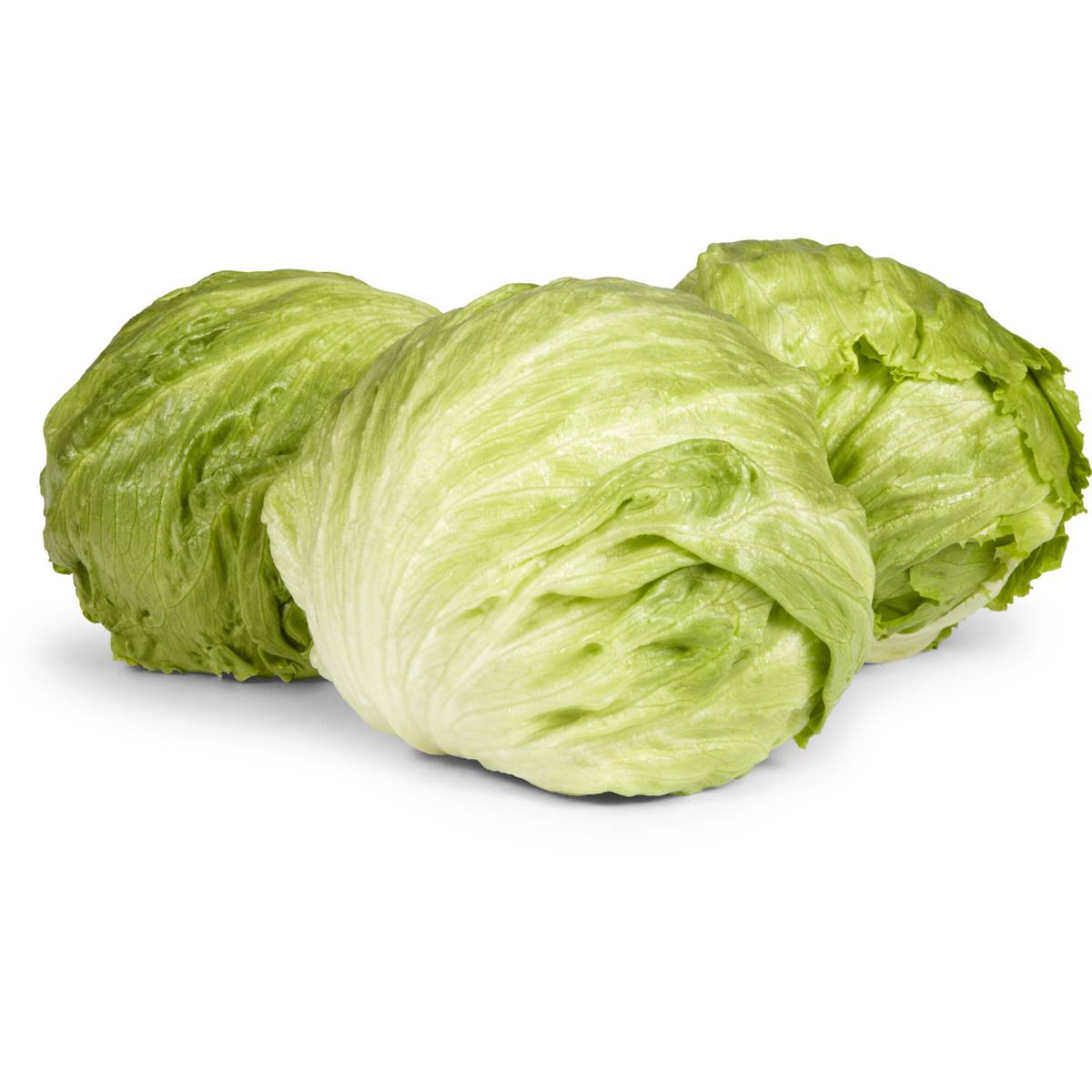 Lettuce Iceberg Each