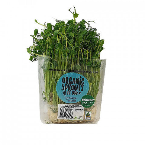 Sprouts Snow Pea Tendril Live Punnet