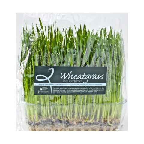 Sprouts Wheat Grass Live Punnet