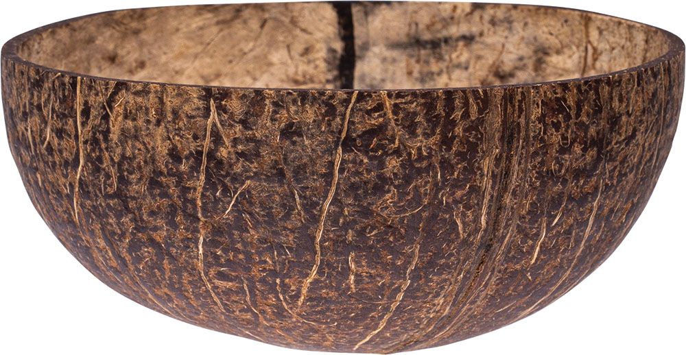 Coconut Shell Bowl Natural 1