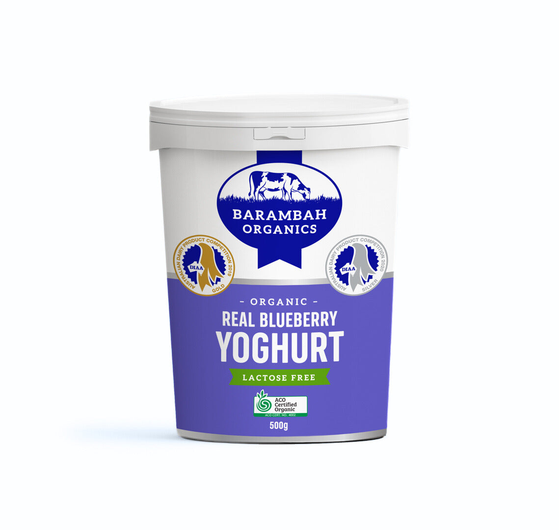 Blueberry Yoghurt 500g