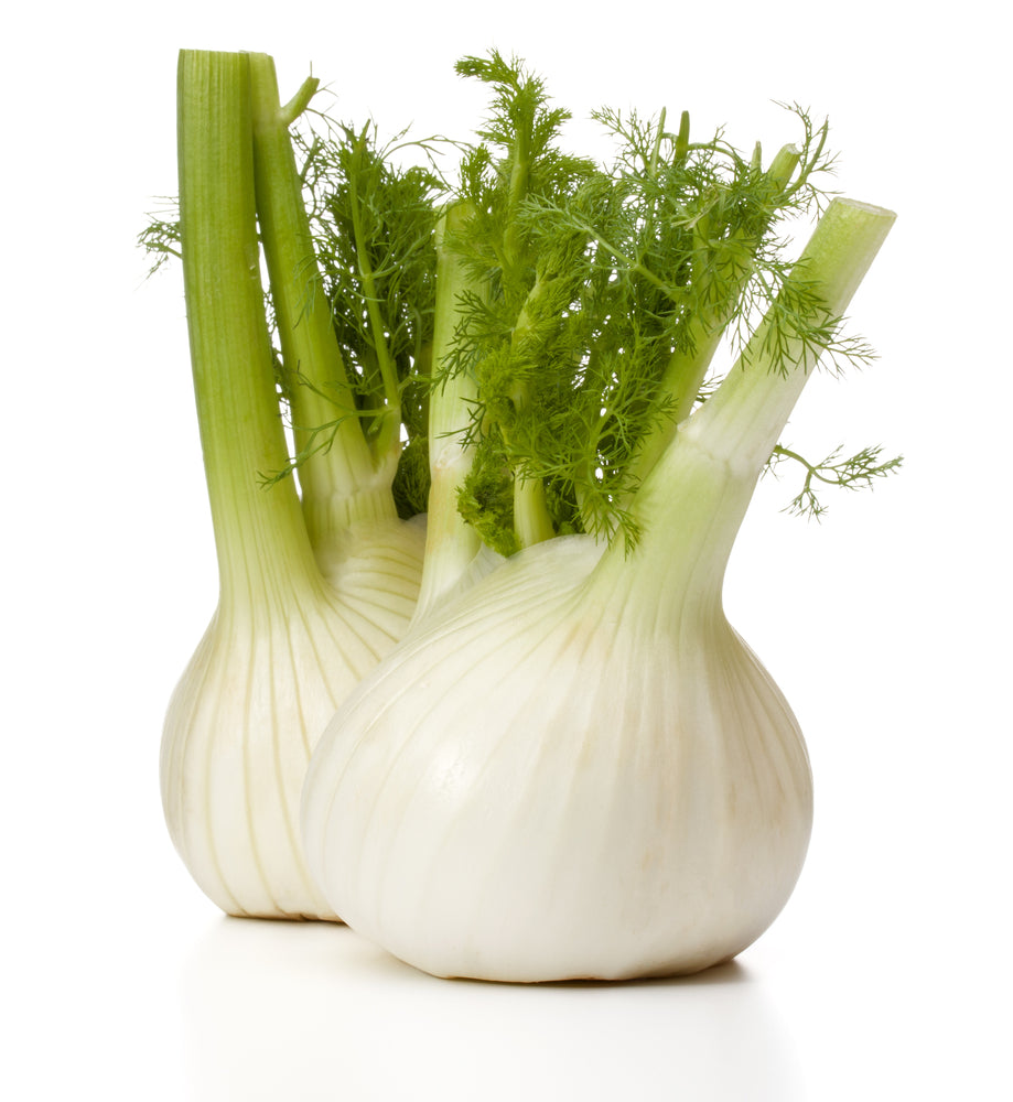 Fennel Each