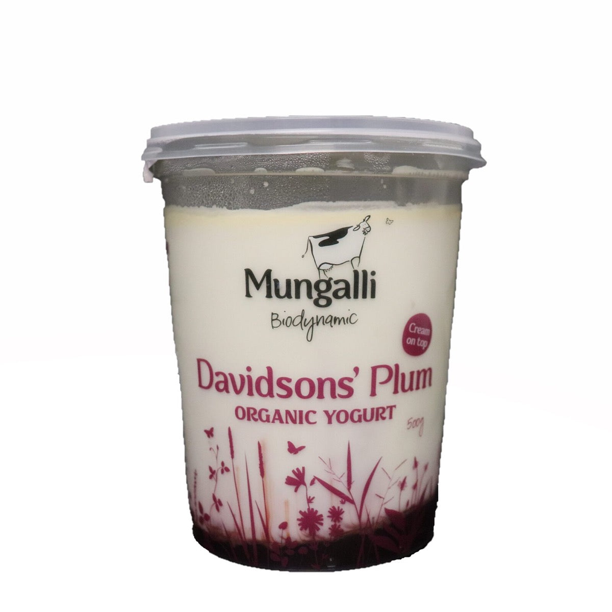 Yogurt Davis Plum 500g