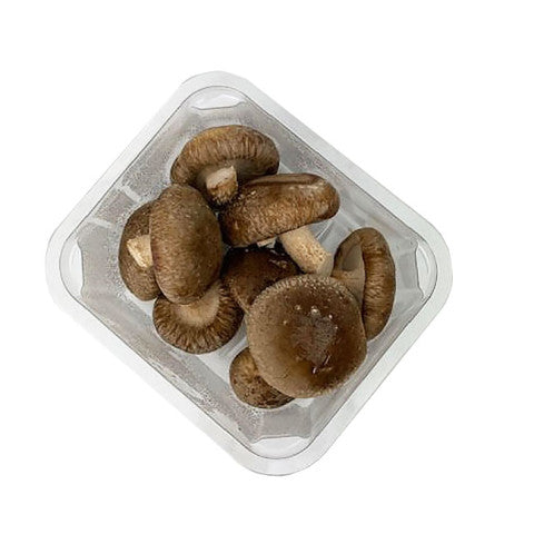 Mushroom Shiitake Punnet