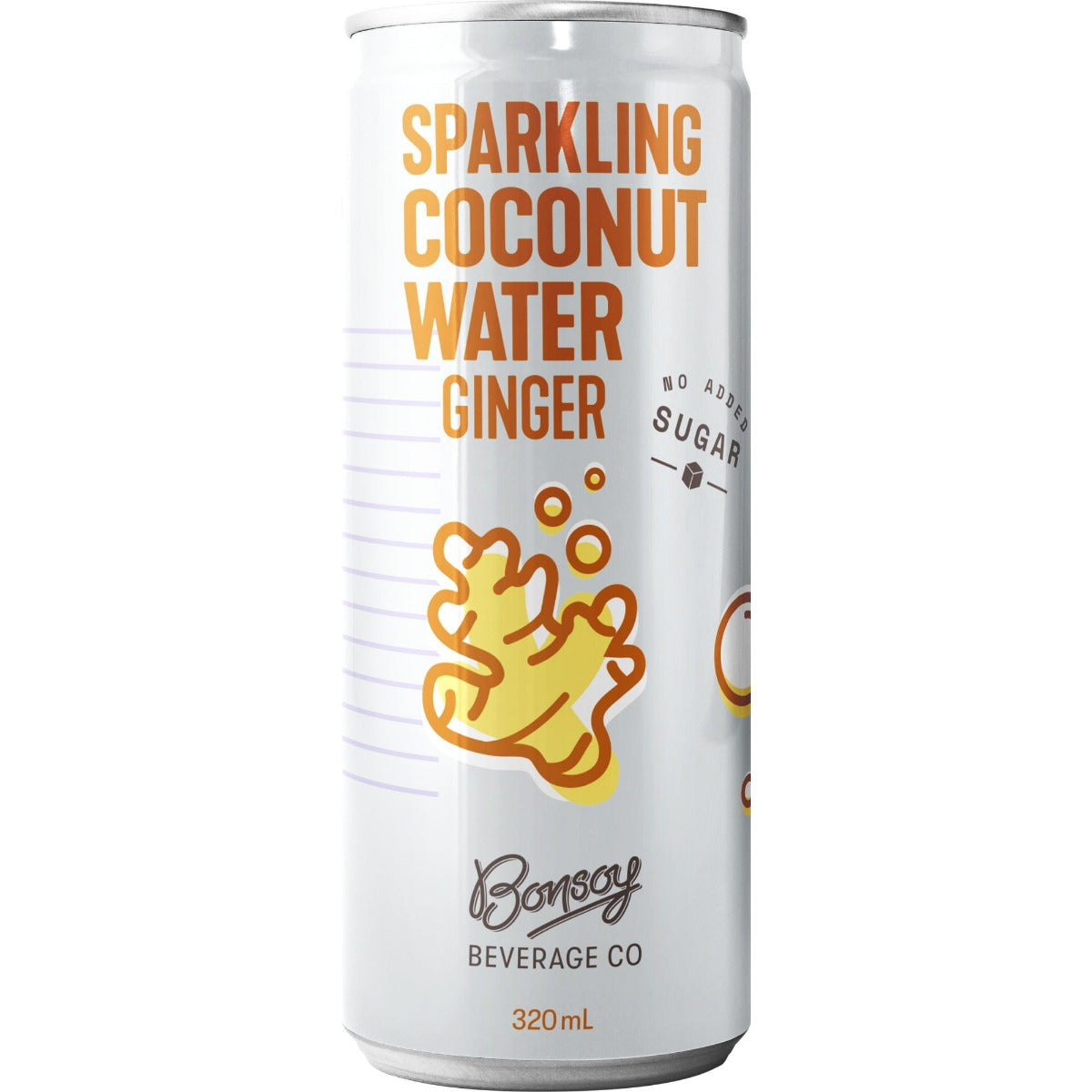 Sparkling Coconut Ginger 320ml