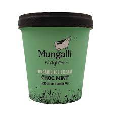 Chocolate Mint Ice Cream 475ml