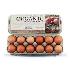 Organic Free Range Eggs Jumbo 800g