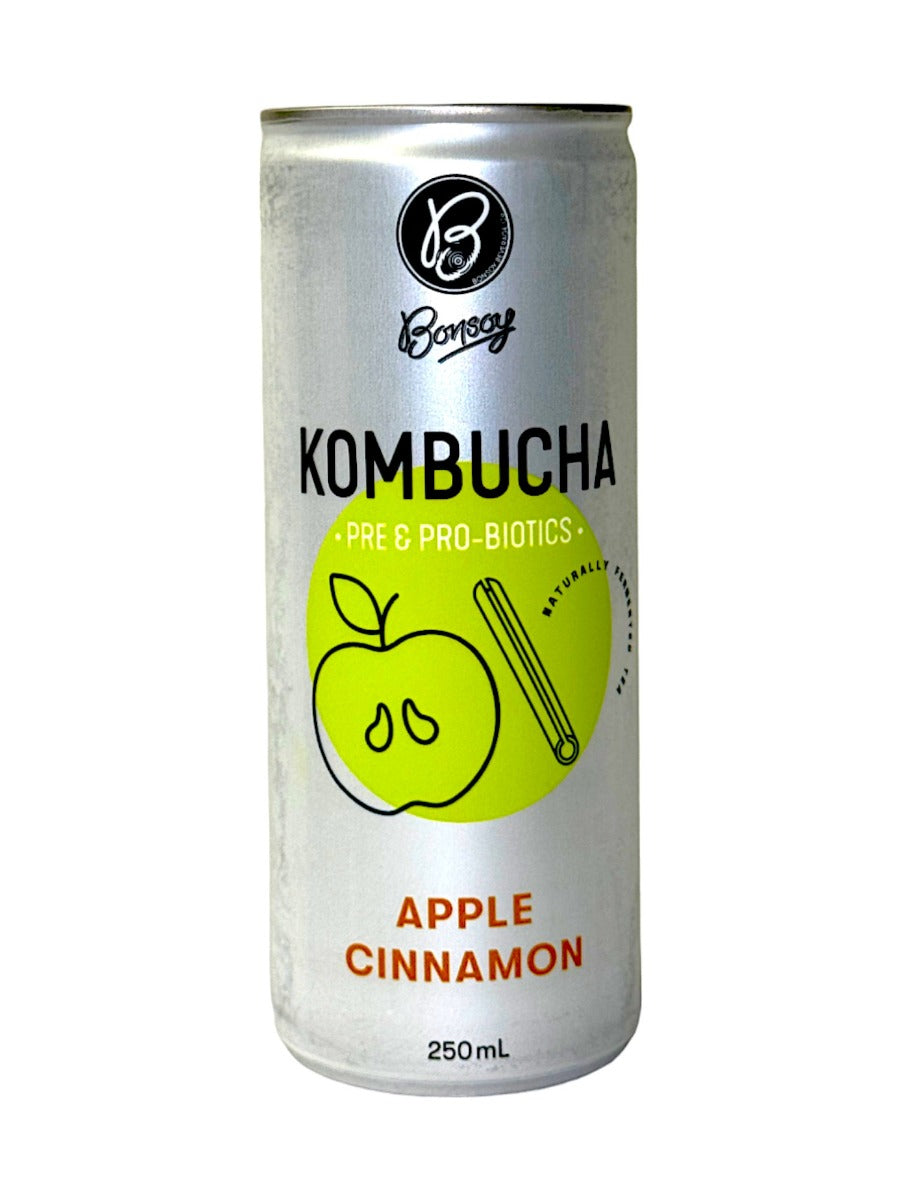 Bonsoy Bonsoy Kombucha Apple Cinna 250ml