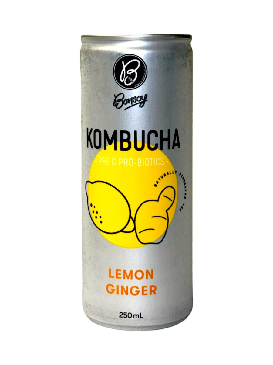 Bonsoy Bonsoy Kombucha Lemon Gin 250ml